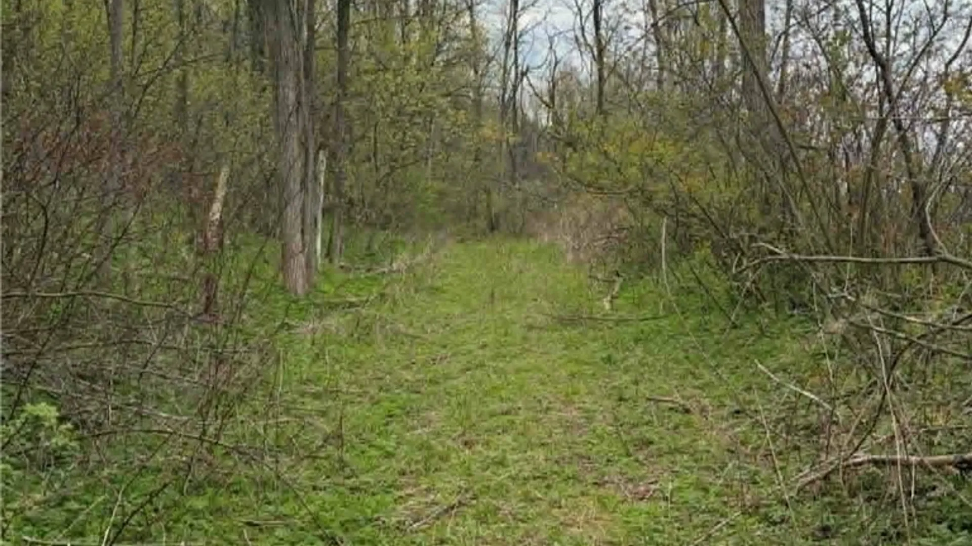 Property at 2860 US Highway 11, Cortlandville, NY 13045 4