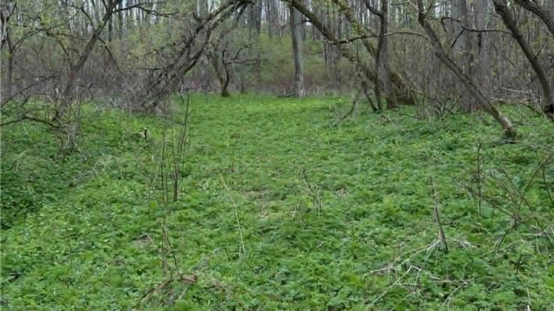 Property at 2860 US Highway 11, Cortlandville, NY 13045 6