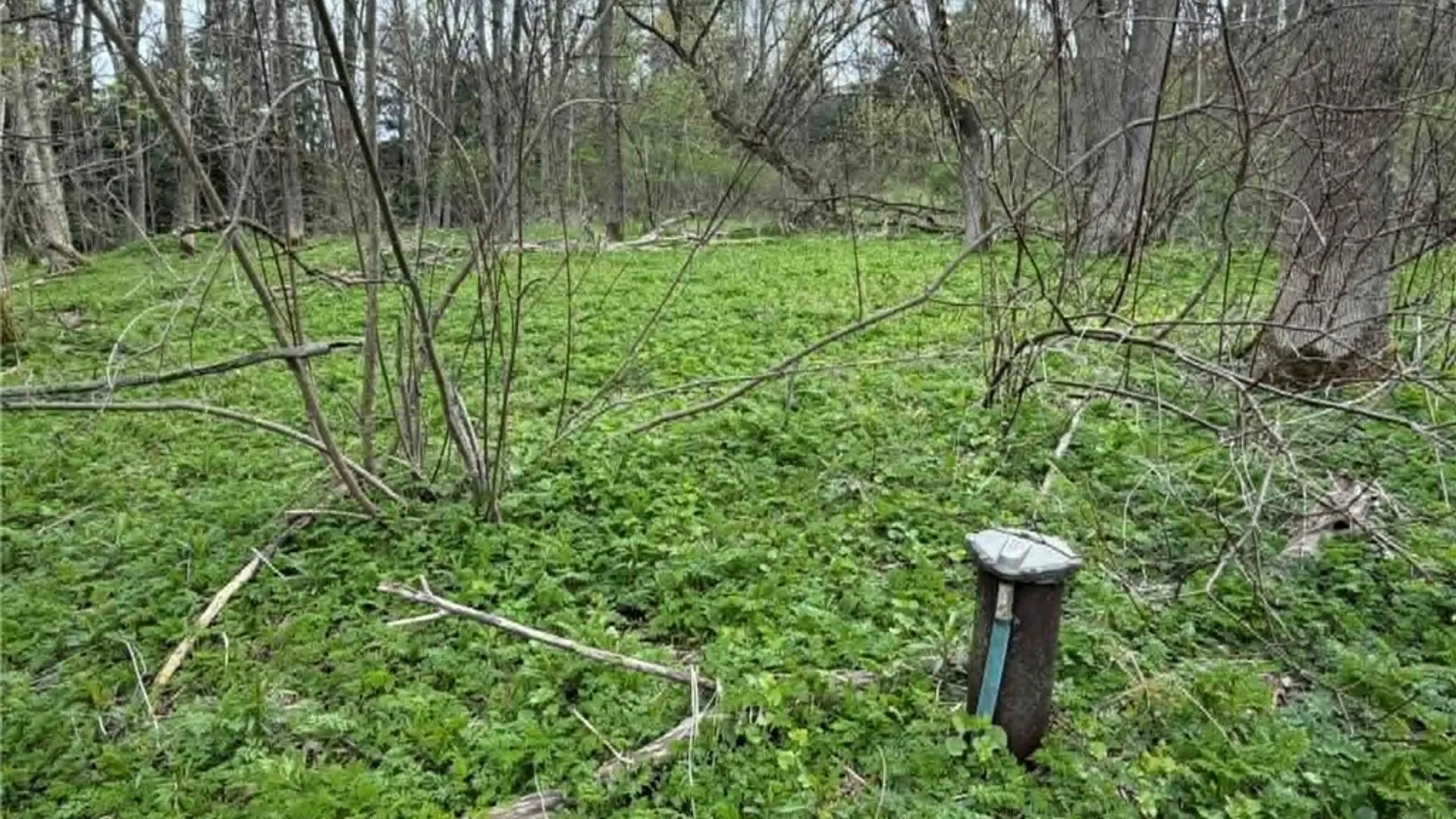 Property at 2860 US Highway 11, Cortlandville, NY 13045 8