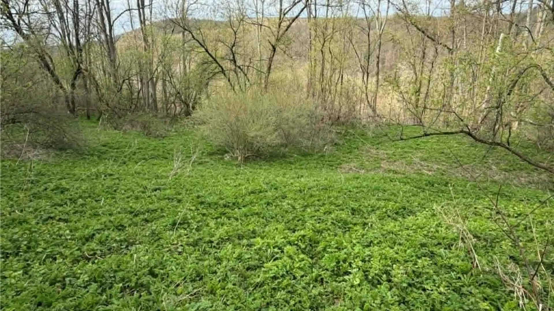 Property at 2860 US Highway 11, Cortlandville, NY 13045 9