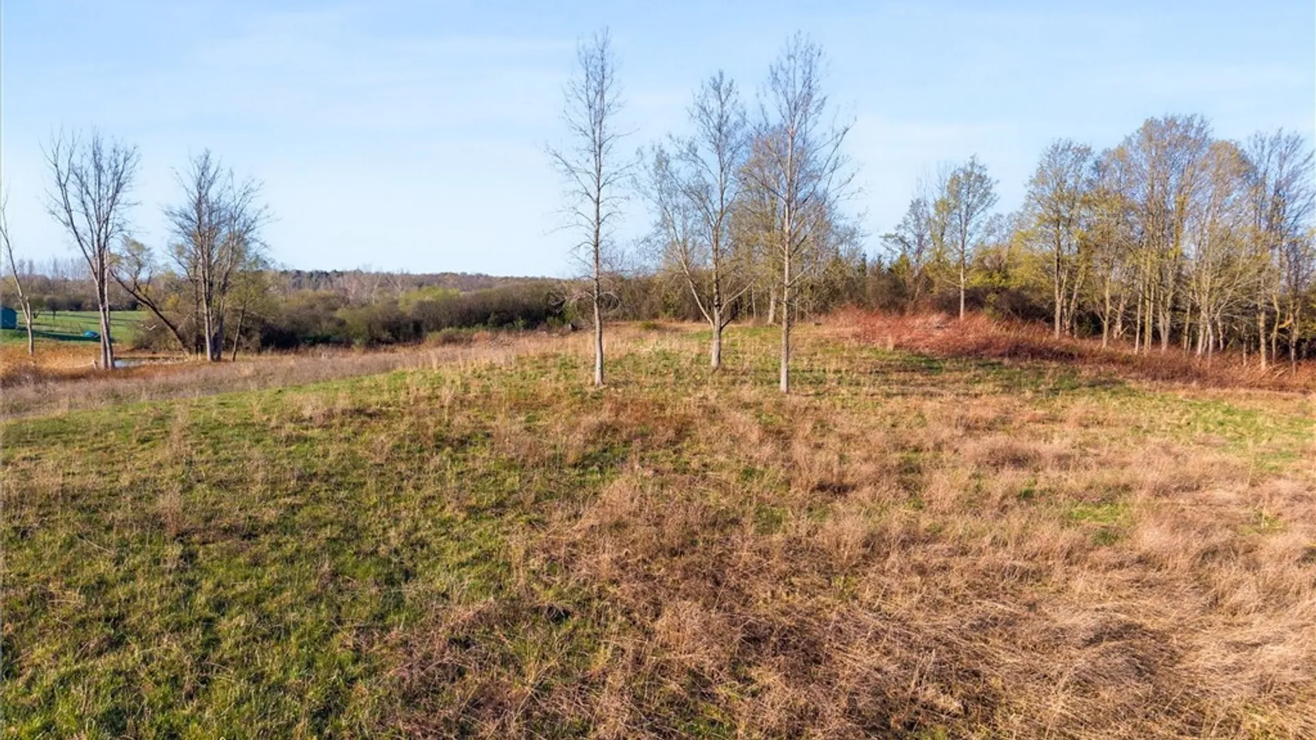 Property at Swamp Road, Sennett, NY 13021 8