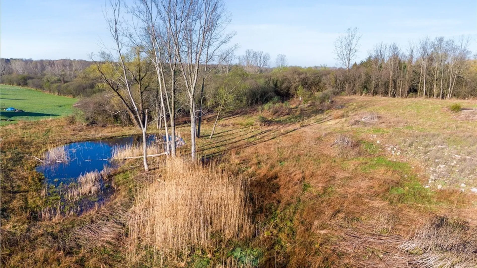 Property at Swamp Road, Sennett, NY 13021 9