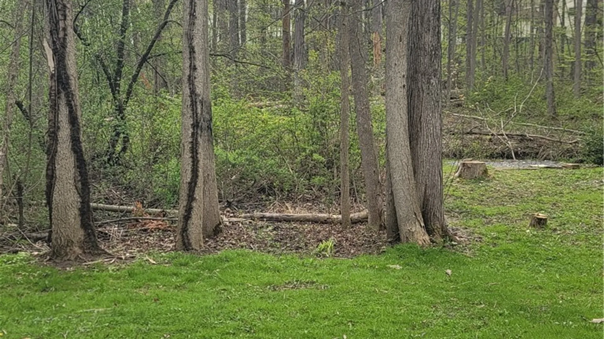 Property at 4233 Anguilla Drive, Clay, NY 13090 11