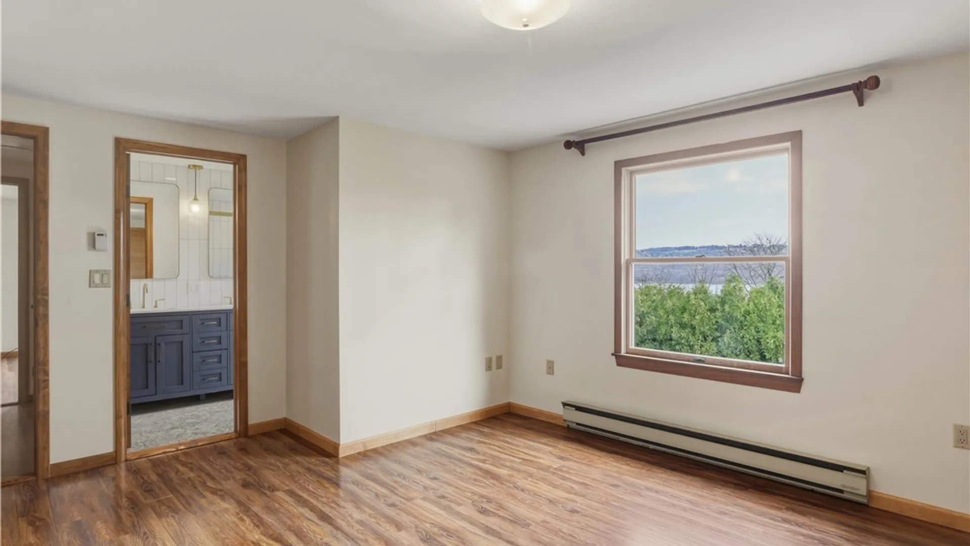 Property at 100 Lakeview Avenue, Dix, NY 14891 23