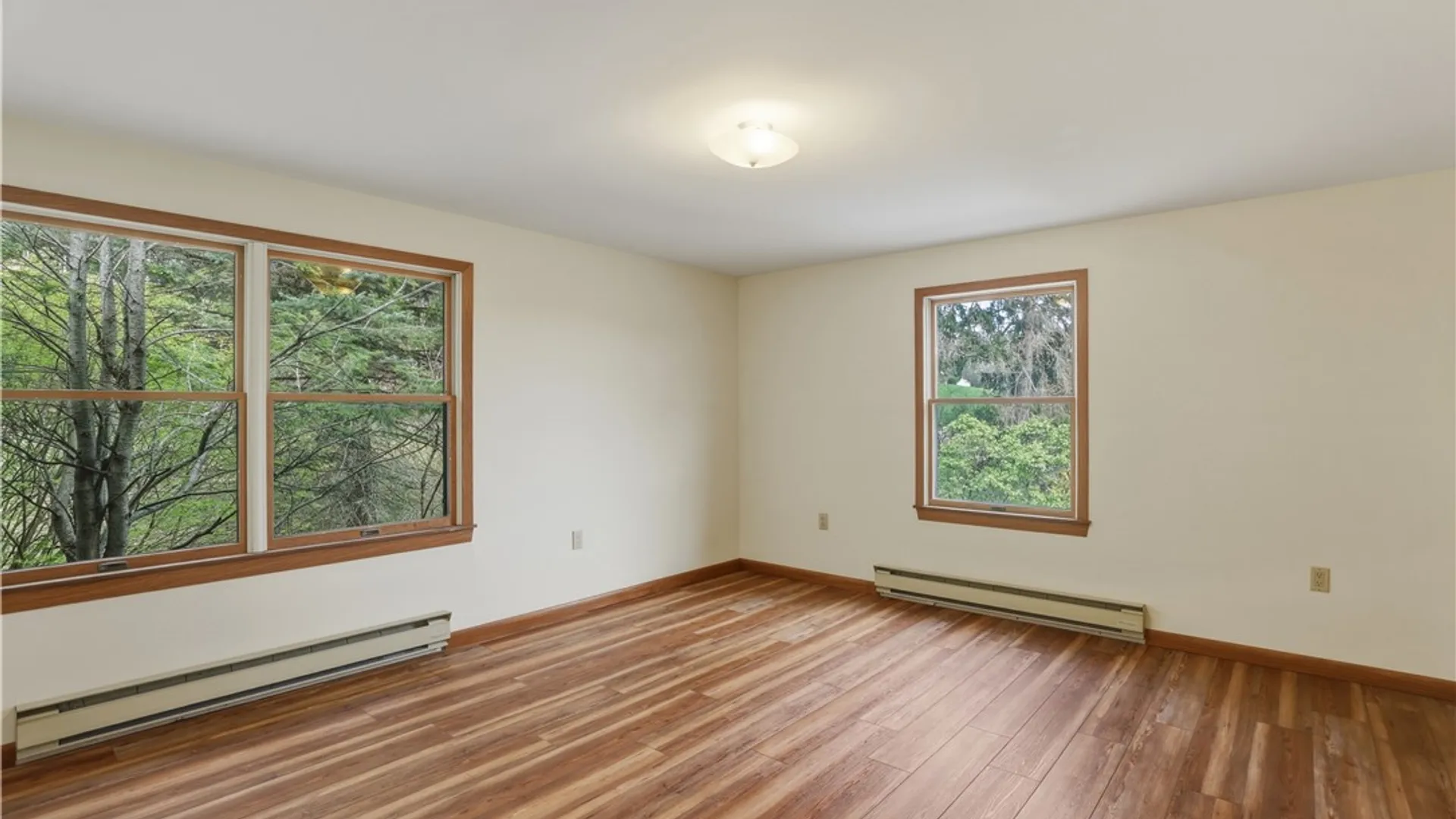 Property at 100 Lakeview Avenue, Dix, NY 14891 29