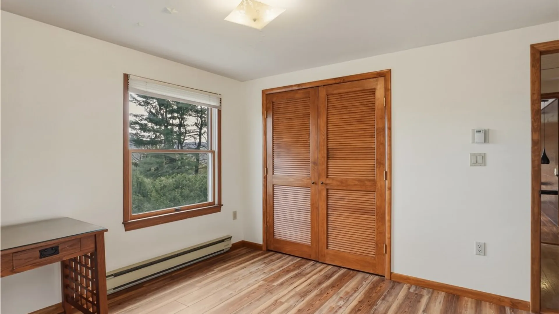 Property at 100 Lakeview Avenue, Dix, NY 14891 33