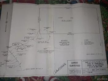 Holliday Lane, Franklinville, NY 14737