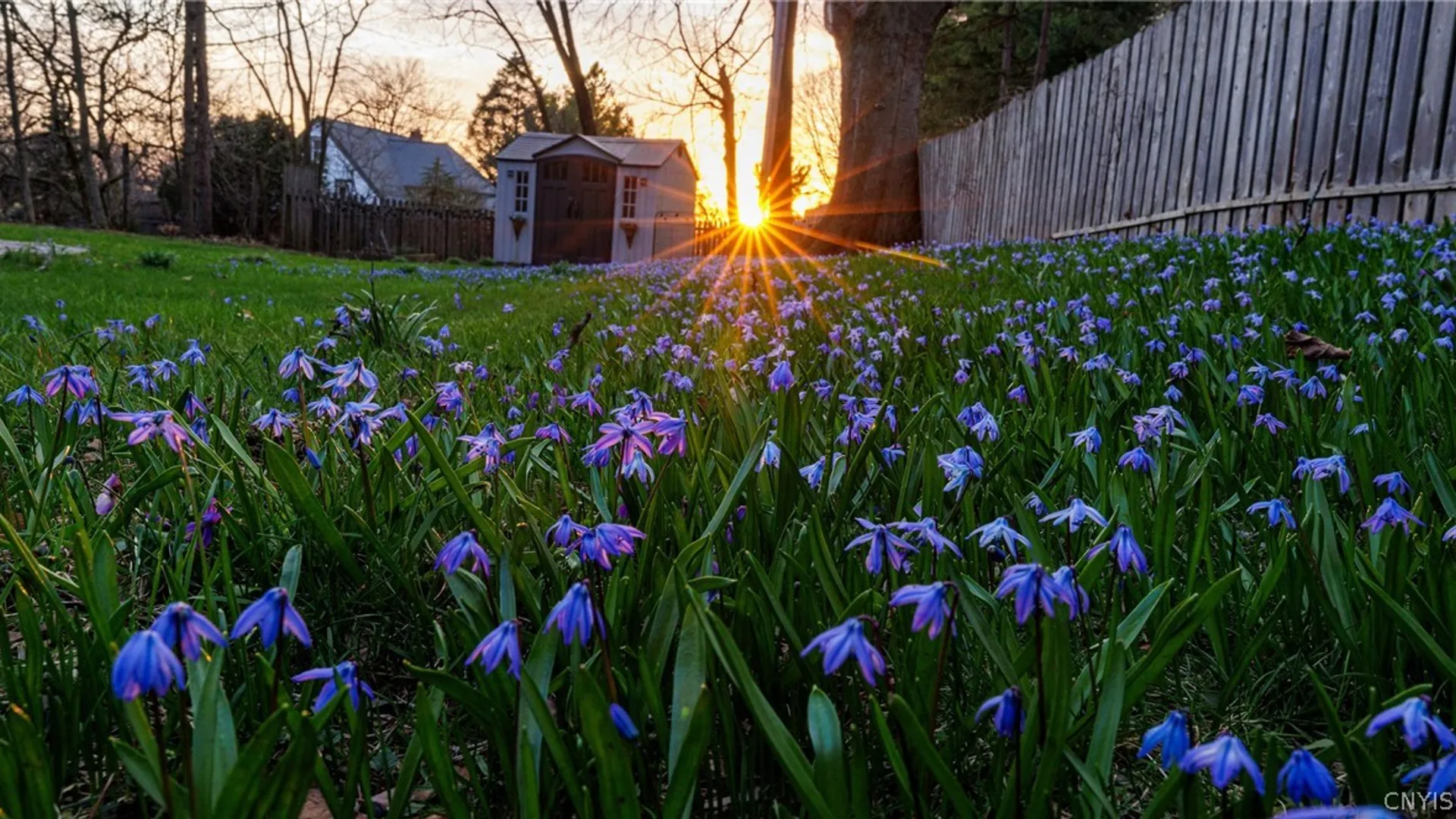 Property at 307 Manlius Street, Manlius, NY 13066 39