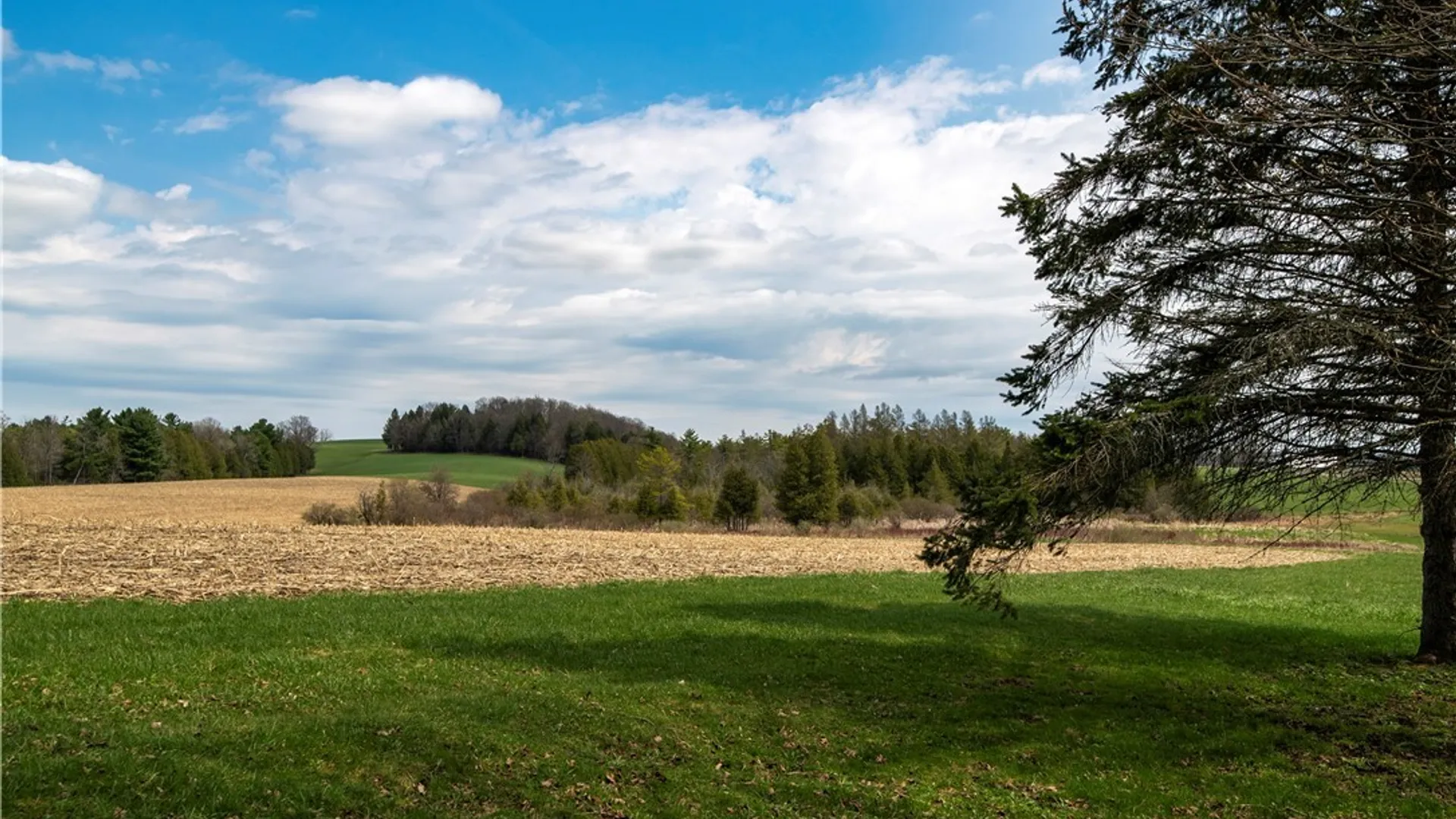 Property at 434 McKoons Road, Columbia, NY 13439 15