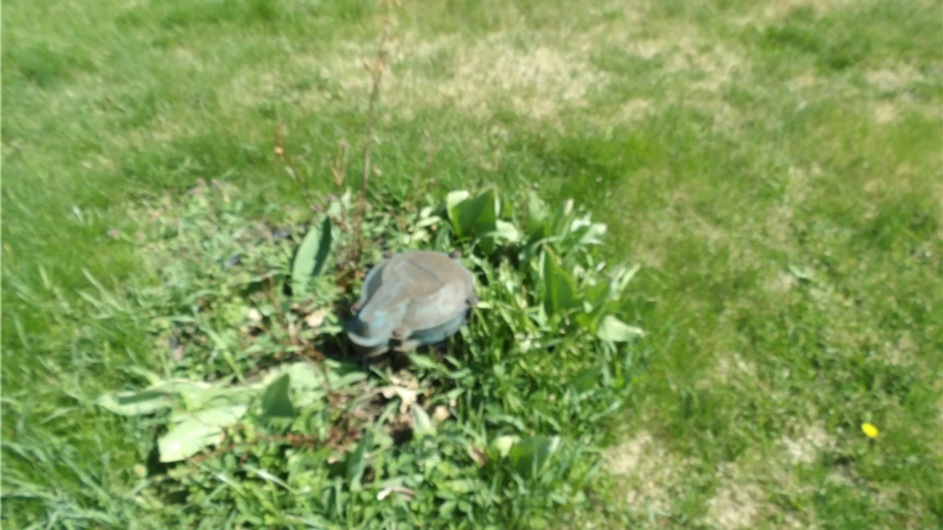 Property at 421 Cortland Road, Dryden, NY 13068 45