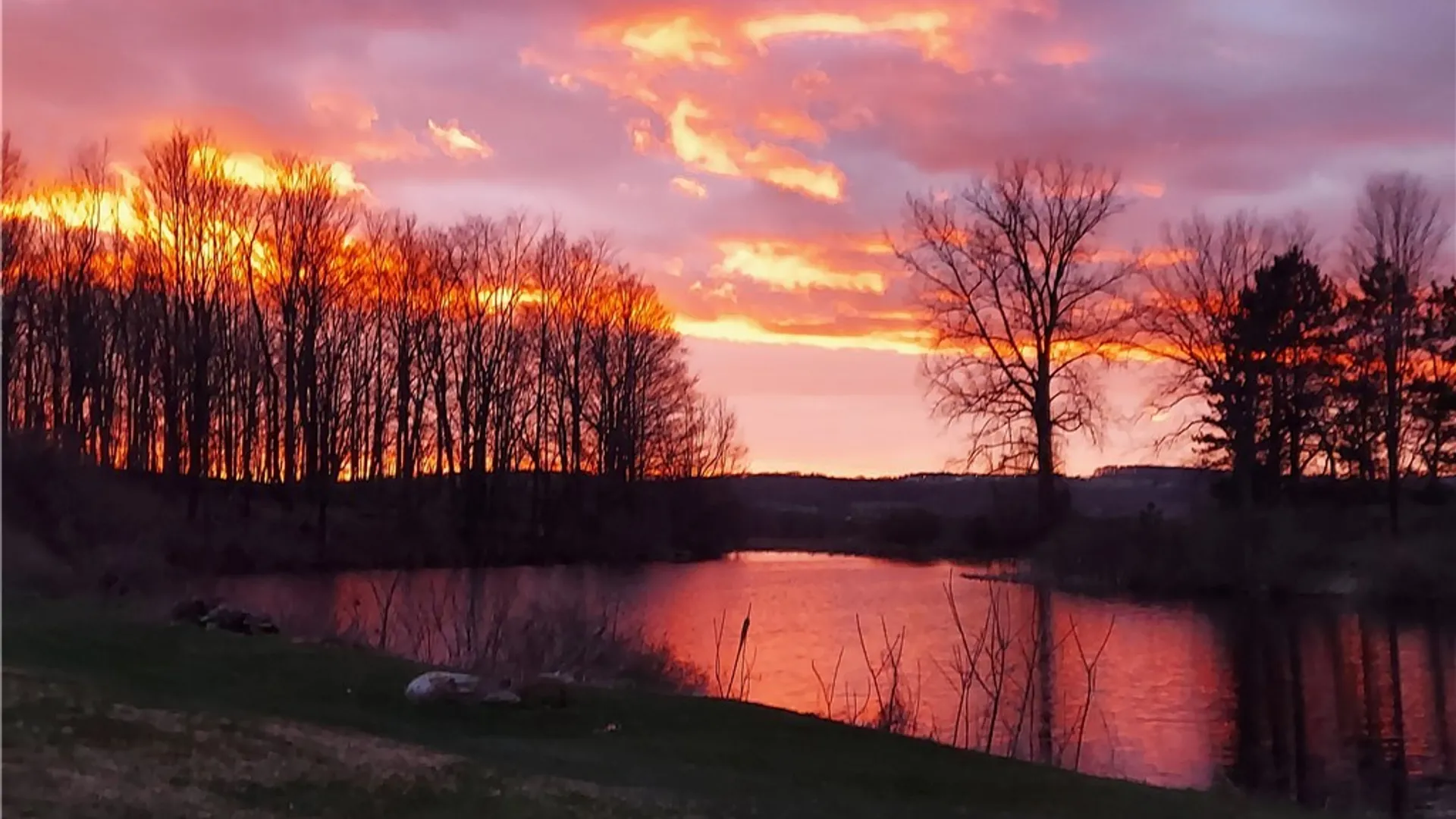 Property at 421 Cortland Road, Dryden, NY 13068 50