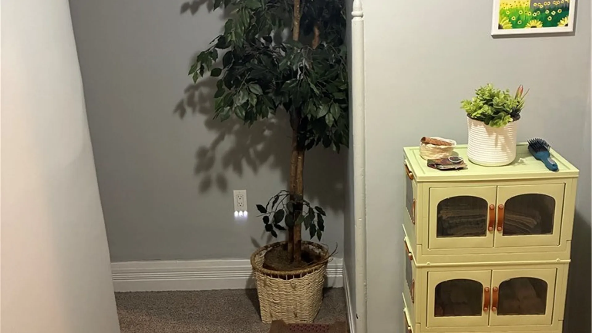 Property at 1015 Lake Street, Elmira City, NY 14901 12