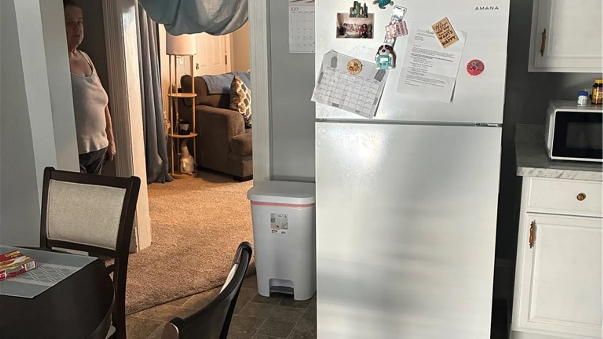 Property at 1015 Lake Street, Elmira City, NY 14901 18