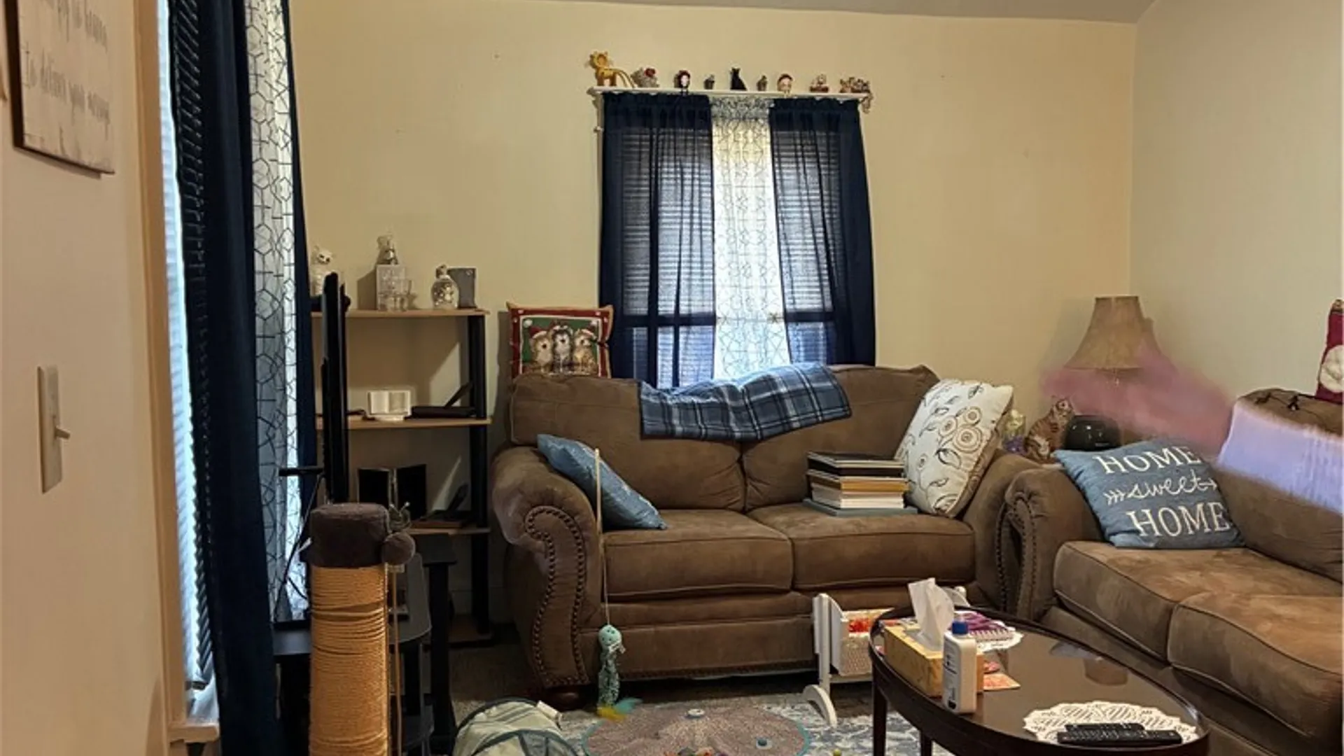 Property at 355 Thurston Street, Elmira City, NY 14901 4
