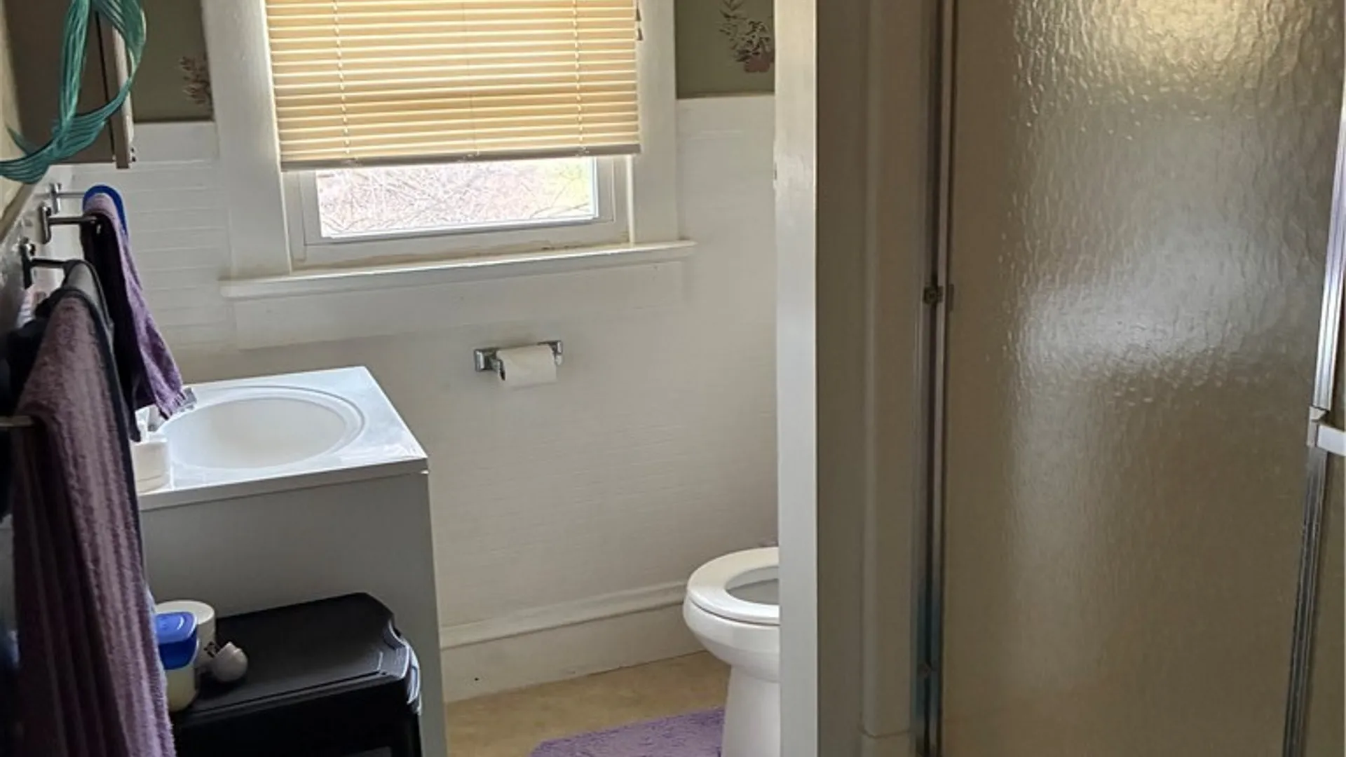 Property at 355 Thurston Street, Elmira City, NY 14901 9
