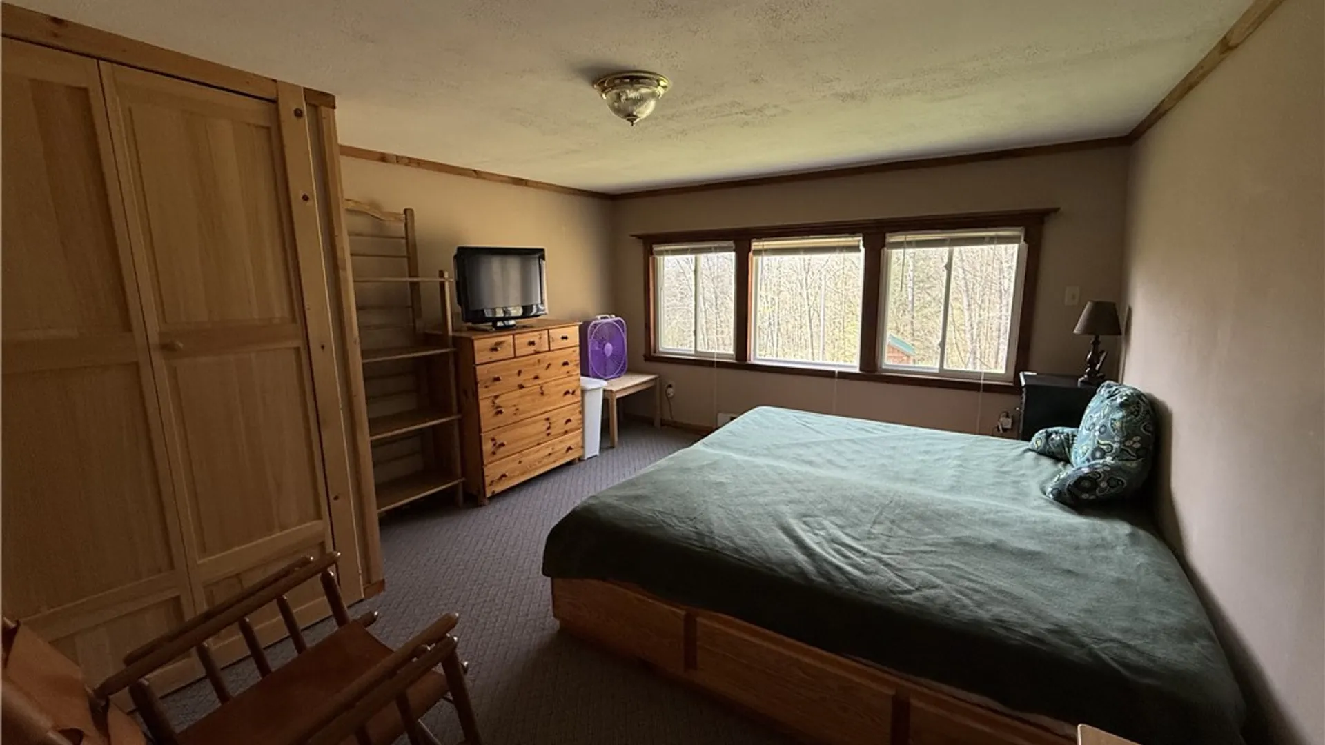 Property at 311 Fall Clove Road, Colchester, NY 13752 10