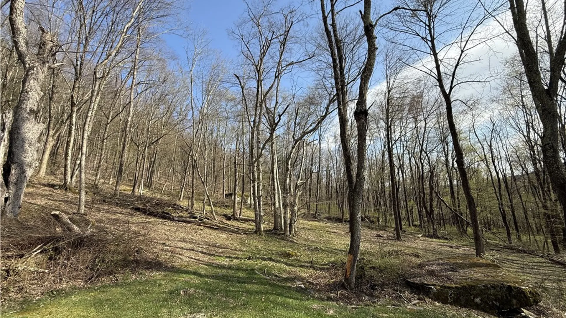 Property at 311 Fall Clove Road, Colchester, NY 13752 19