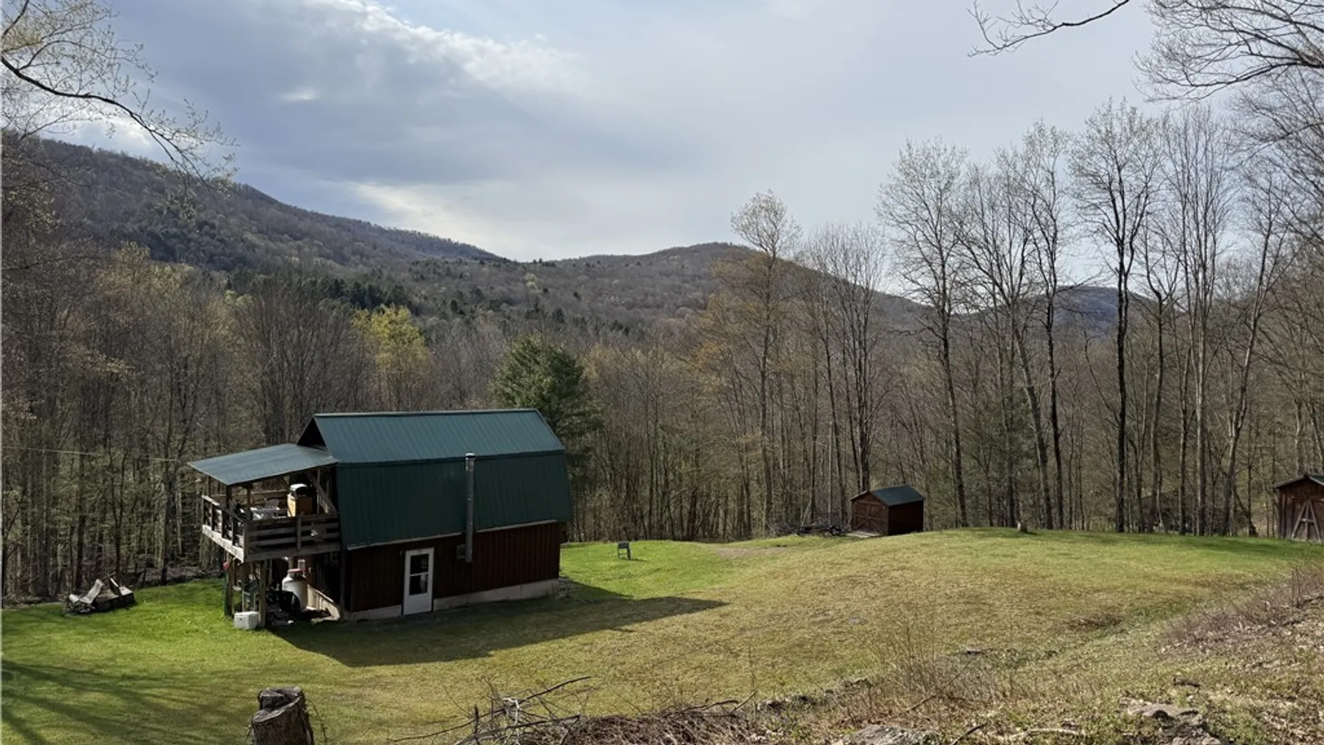 Property at 311 Fall Clove Road, Colchester, NY 13752 20