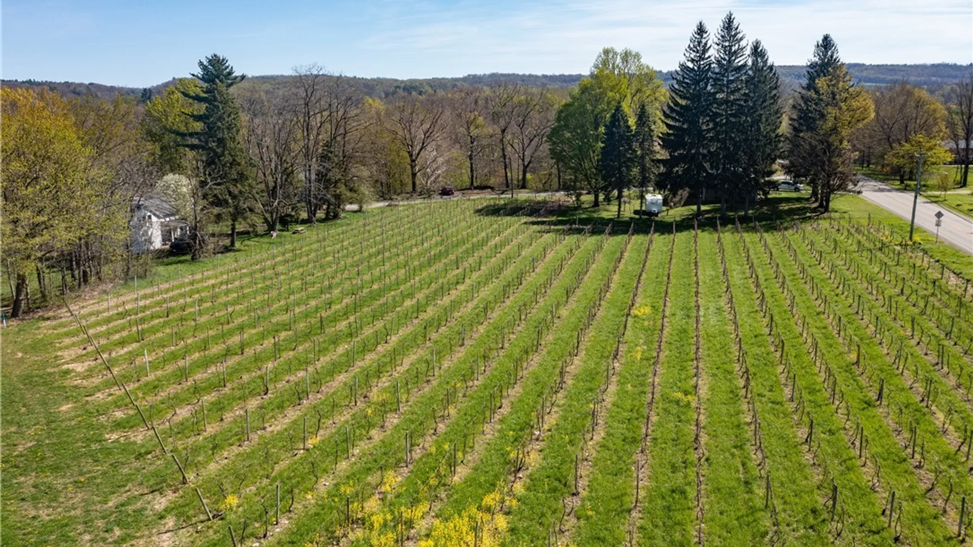 Property at Chestnut Street, Westfield, NY 14787 2