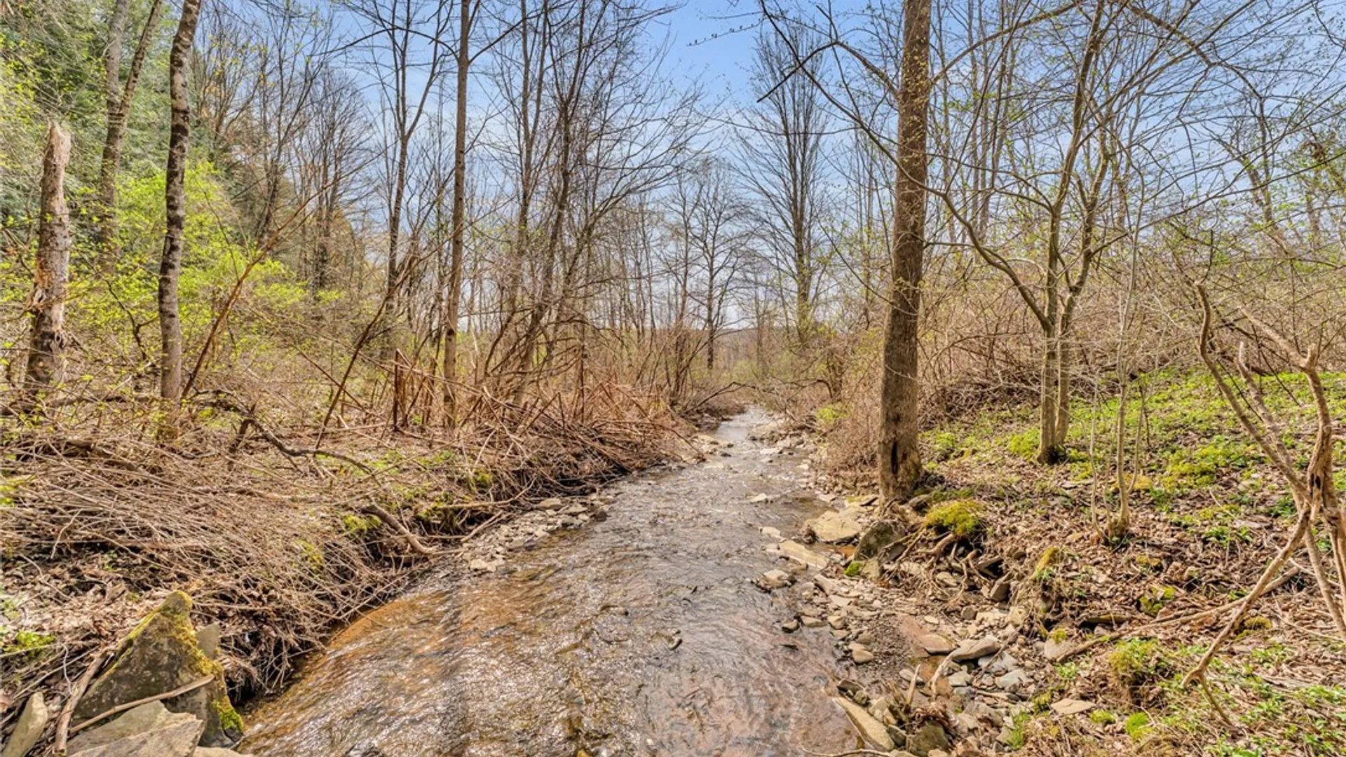 Property at 12082 State Highway 206, Walton, NY 13856 28