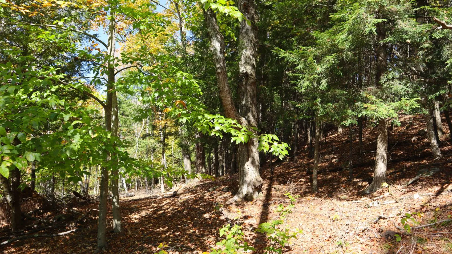 Property at 00 Crane Mountain Rd, Johnsburg, NY 12843 11