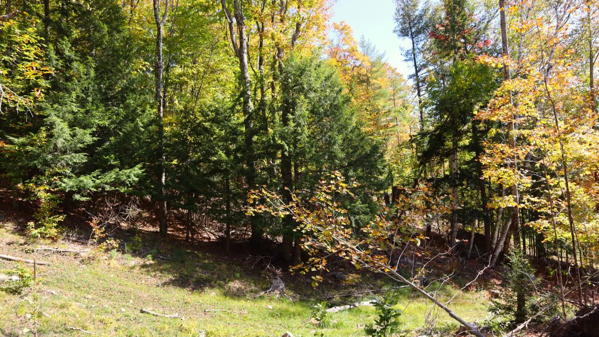 Property at 00 Crane Mountain Rd, Johnsburg, NY 12843 13