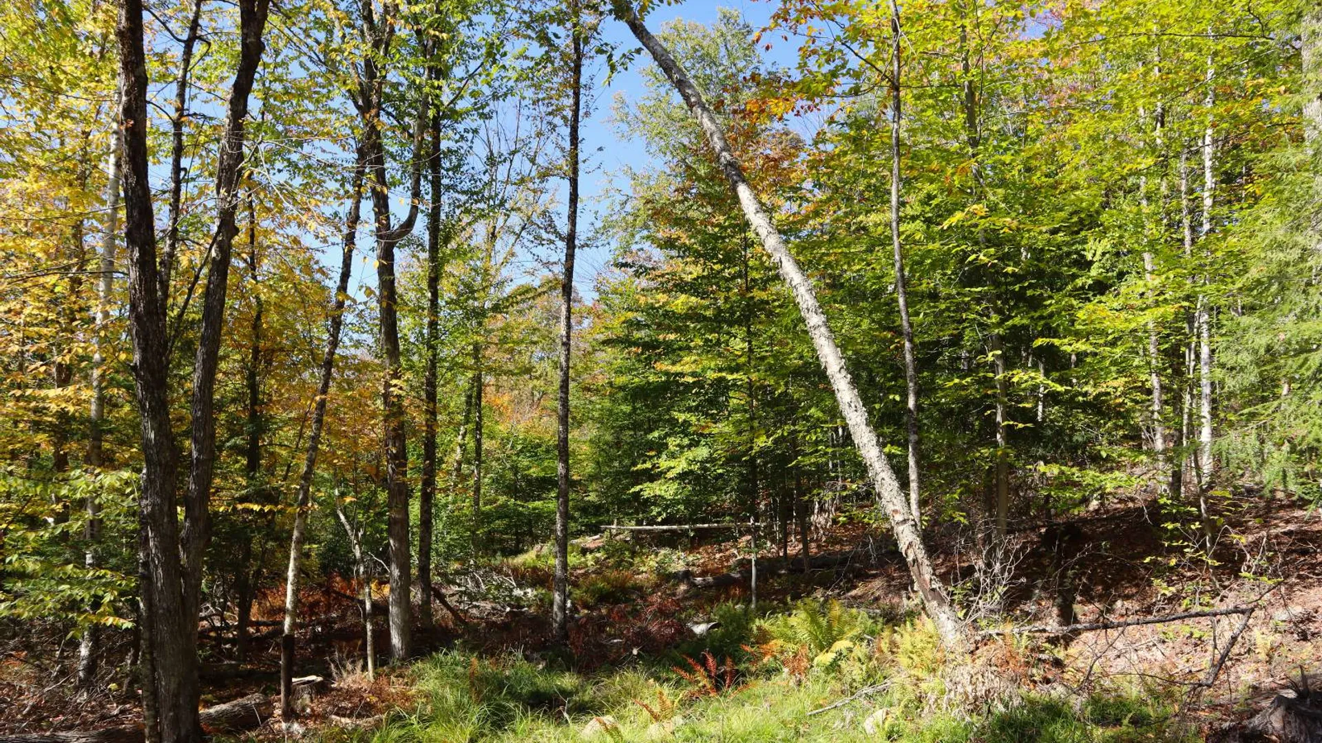 Property at 00 Crane Mountain Rd, Johnsburg, NY 12843 14