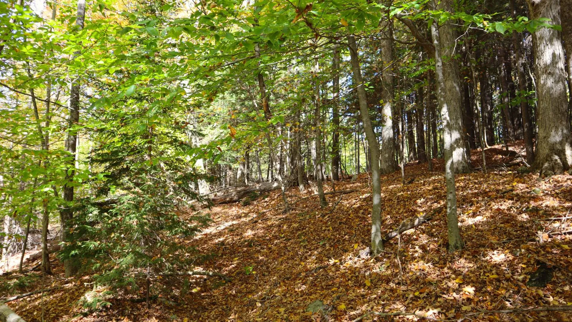 Property at 00 Crane Mountain Rd, Johnsburg, NY 12843 15