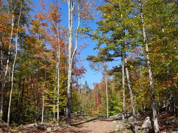 Property at 00 Crane Mountain Rd, Johnsburg, NY 12843