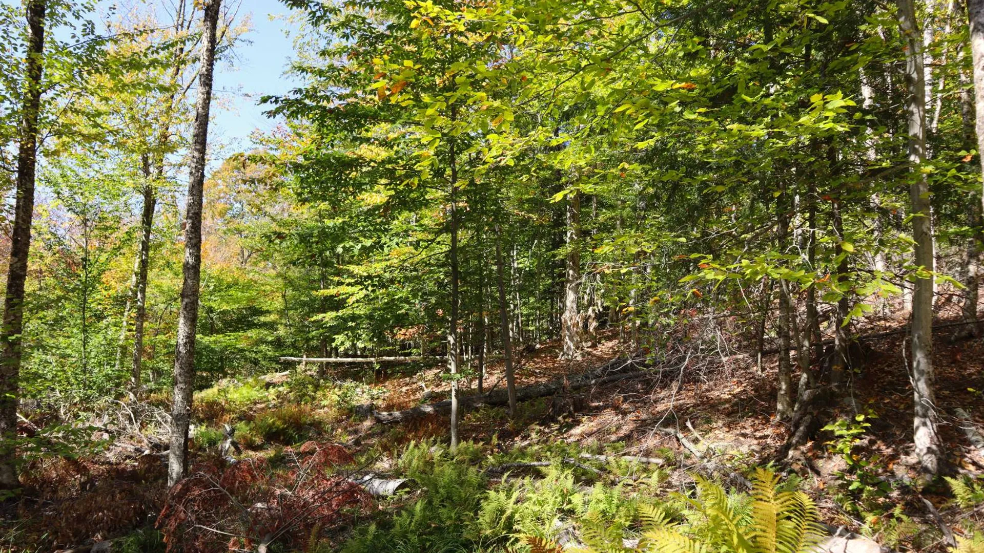 Property at 00 Crane Mountain Rd, Johnsburg, NY 12843 20
