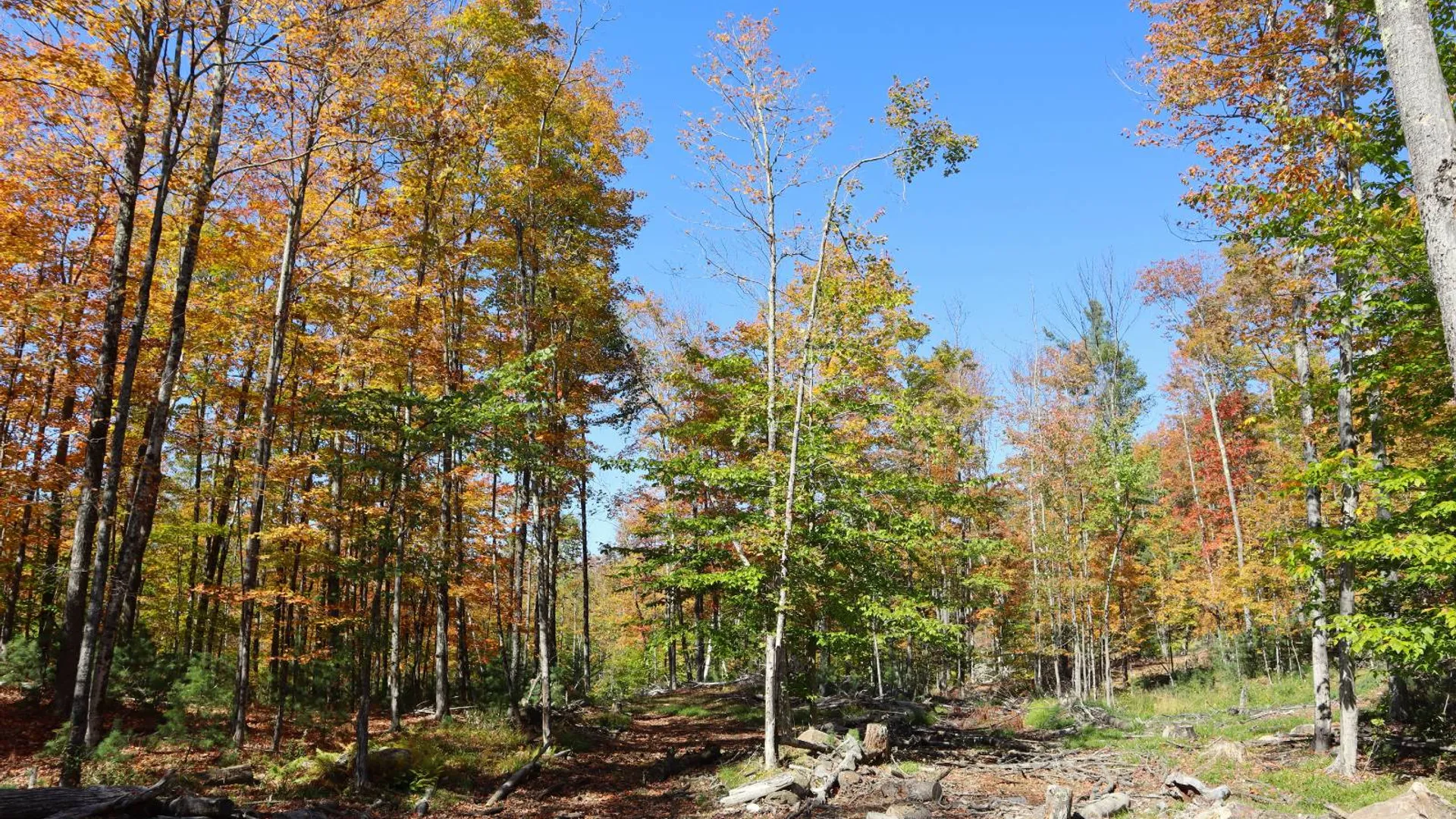 Property at 00 Crane Mountain Rd, Johnsburg, NY 12843 21