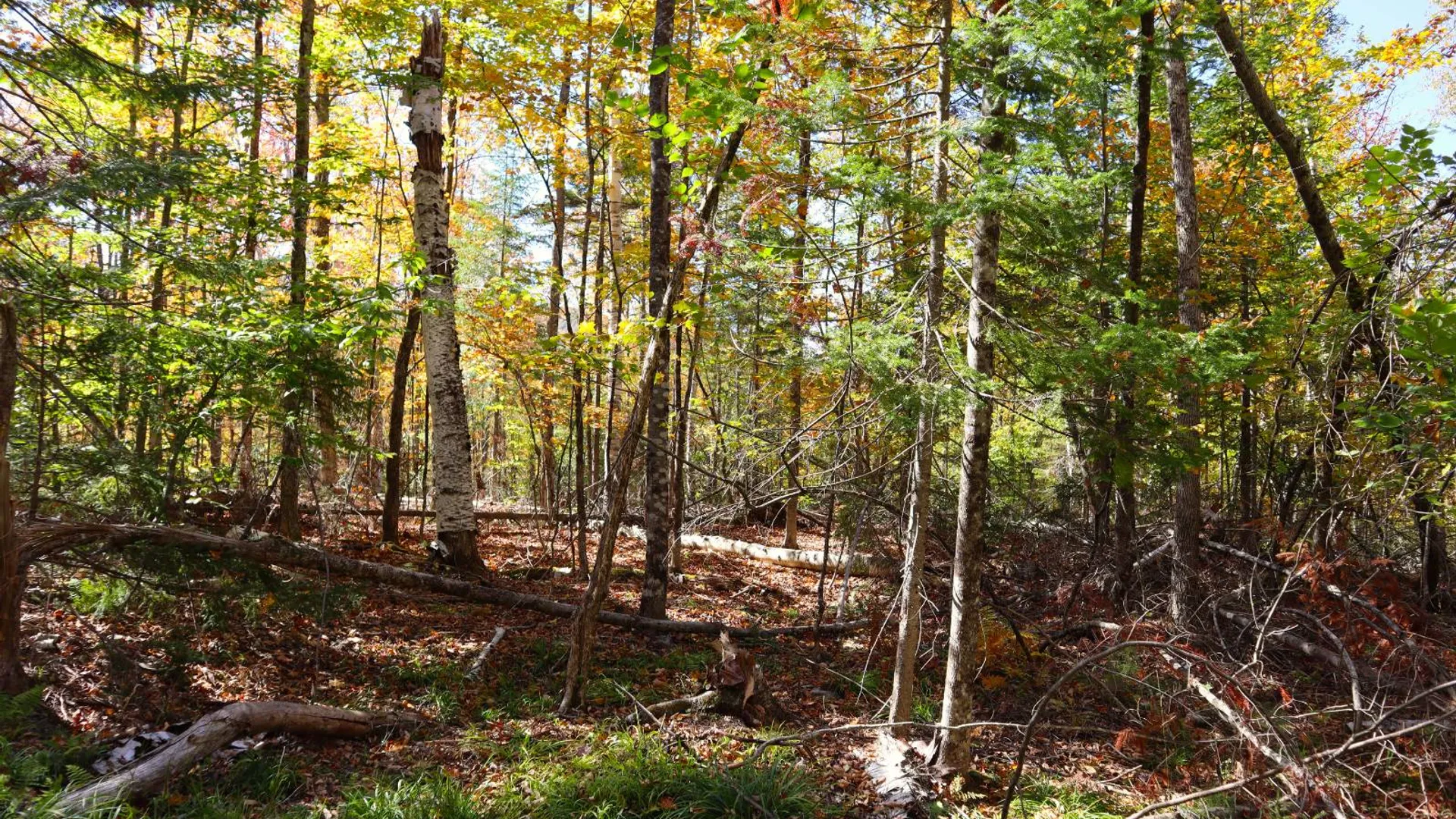Property at 00 Crane Mountain Rd, Johnsburg, NY 12843 23