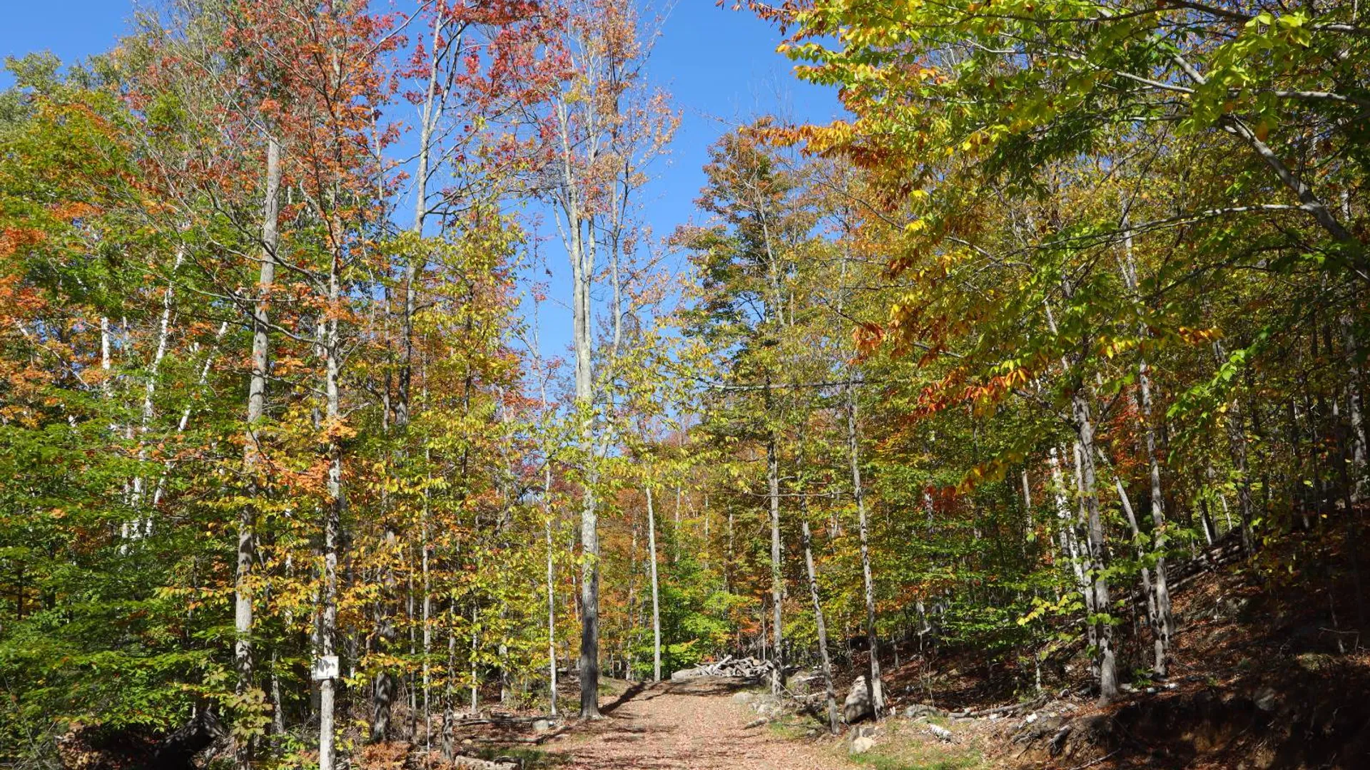 Property at 00 Crane Mountain Rd, Johnsburg, NY 12843 25