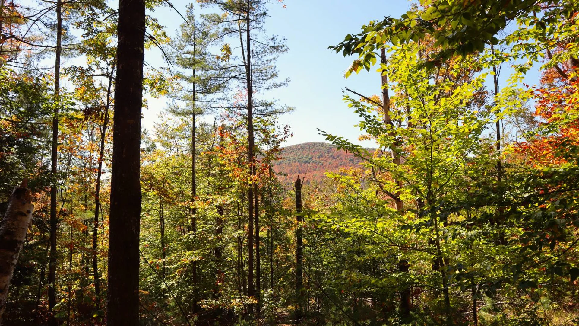 Property at 00 Crane Mountain Rd, Johnsburg, NY 12843 3