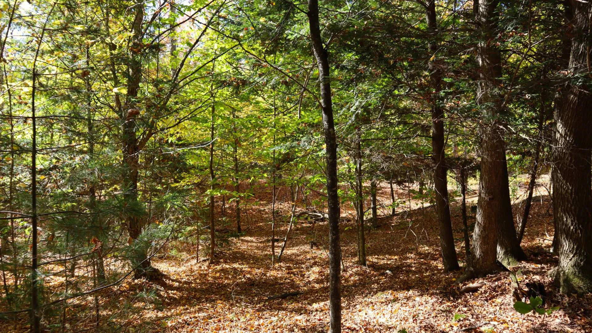 Property at 00 Crane Mountain Rd, Johnsburg, NY 12843 6