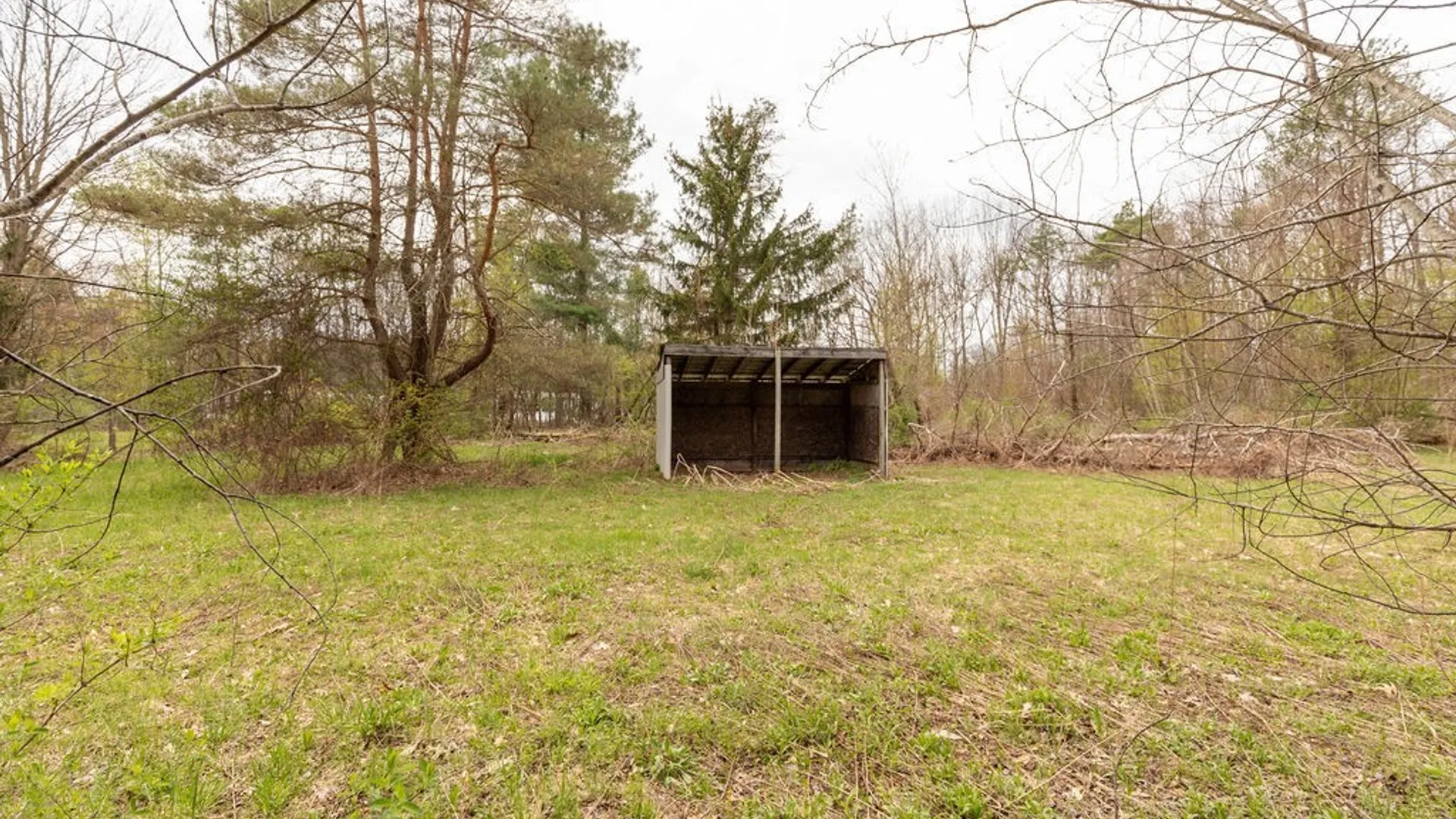 Property at 817 Fyler Road, Sullivan, NY 13082 50