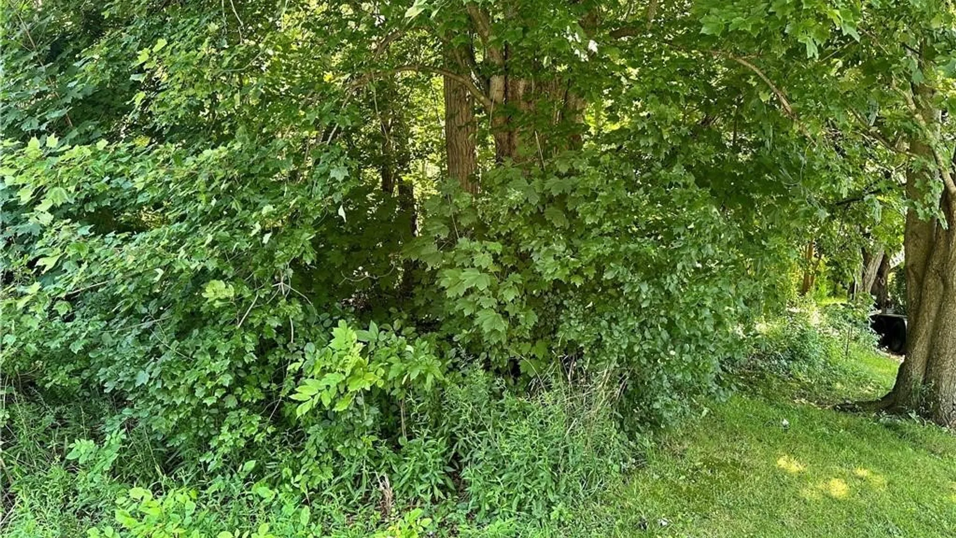 Property at 0 Mccracken Drive, Oswego, NY 13126 11