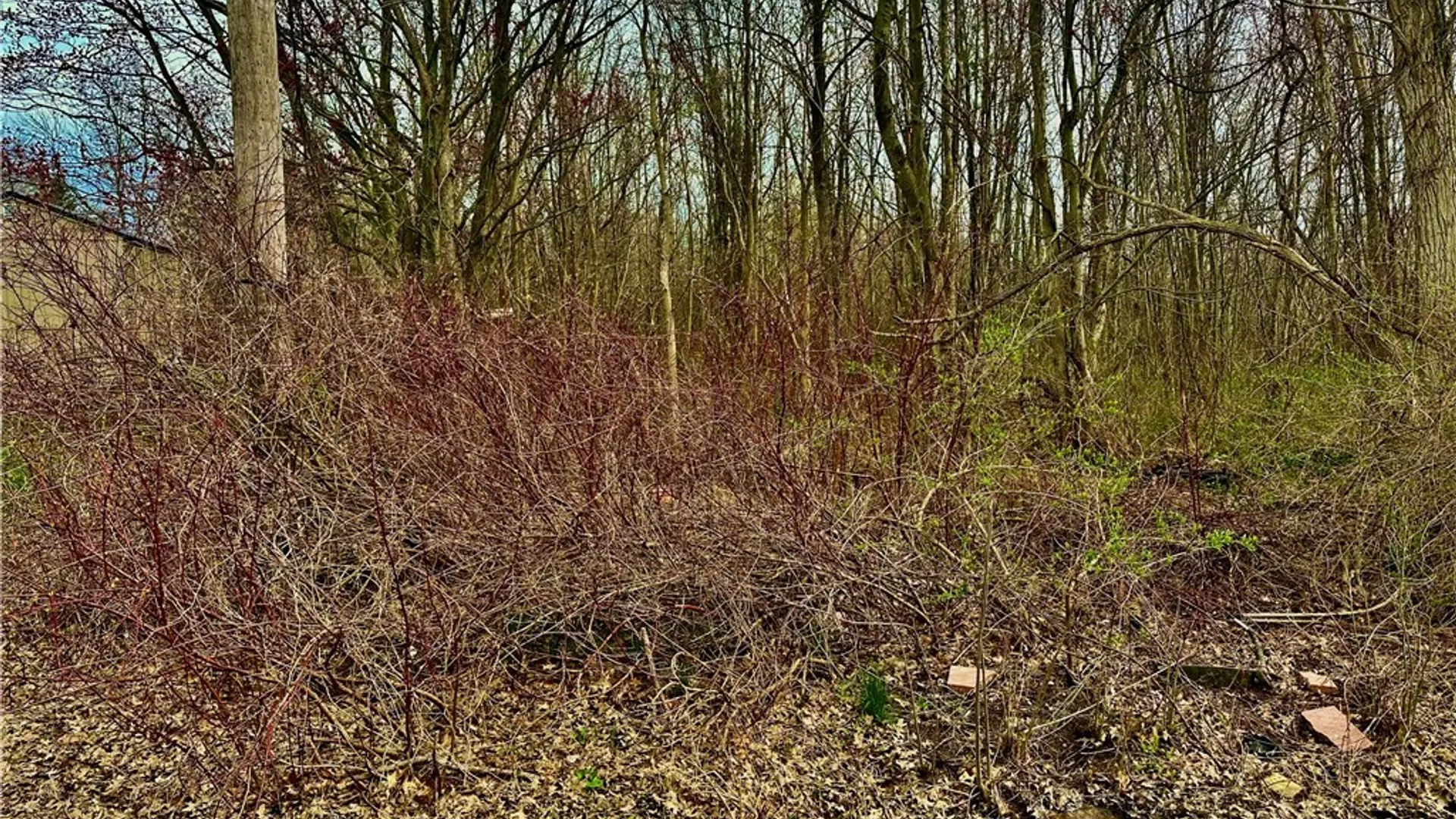 Property at 0 Mccracken Drive, Oswego, NY 13126 2