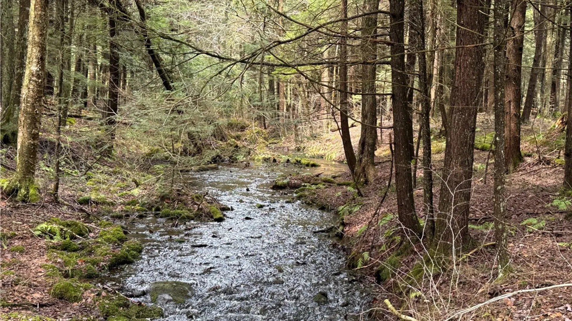 Property at 149 Hemlock Lane, German, NY 13040 3