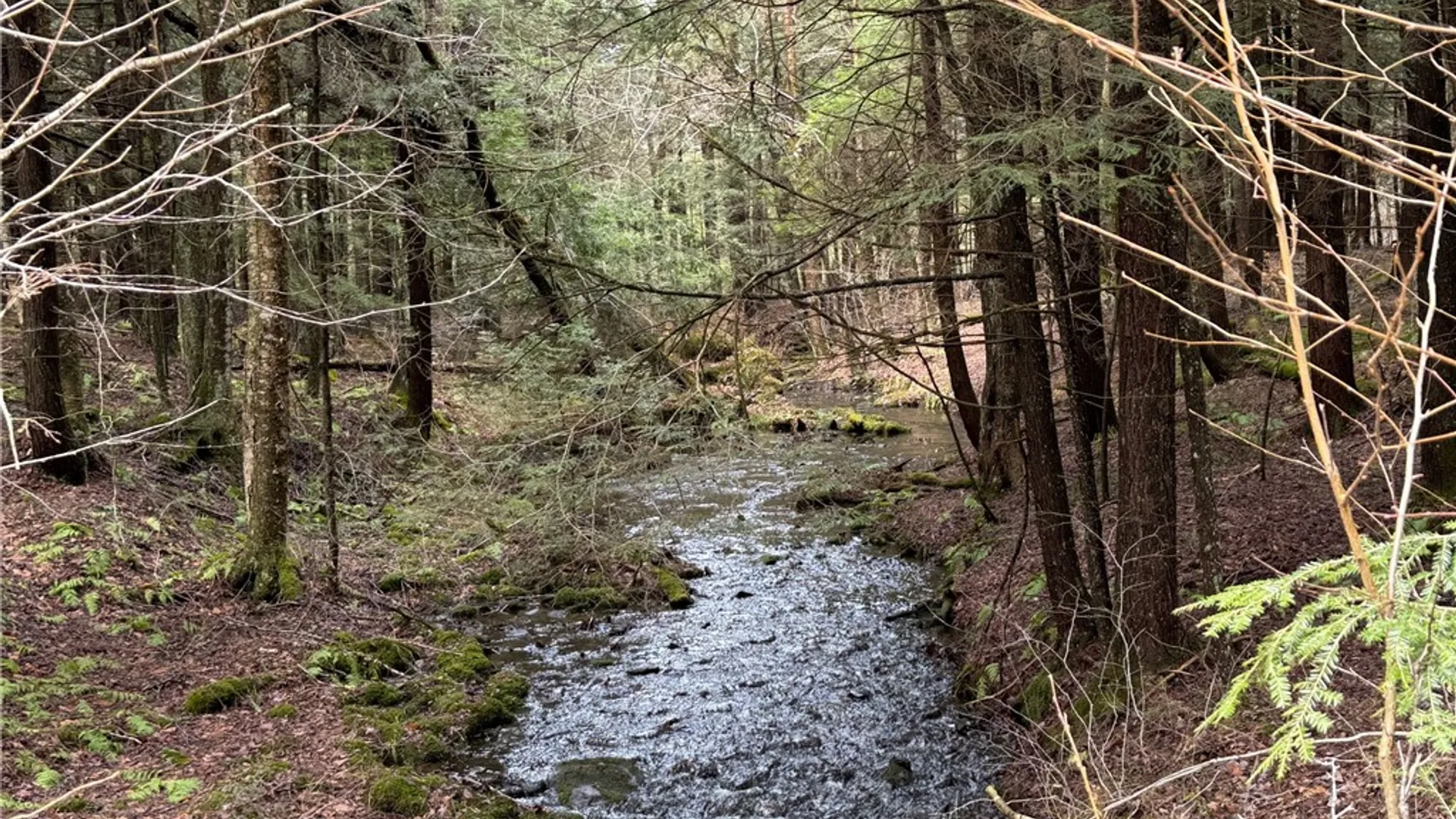 Property at 149 Hemlock Lane, German, NY 13040 40