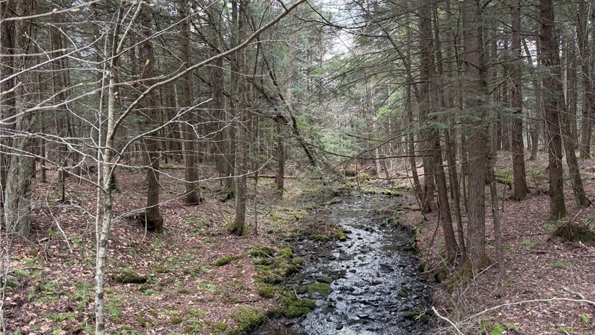 Property at 149 Hemlock Lane, German, NY 13040 41