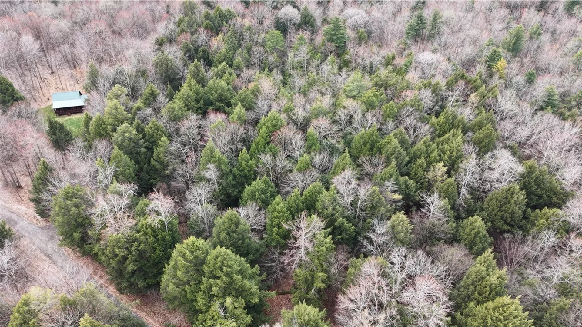 Property at 149 Hemlock Lane, German, NY 13040 45