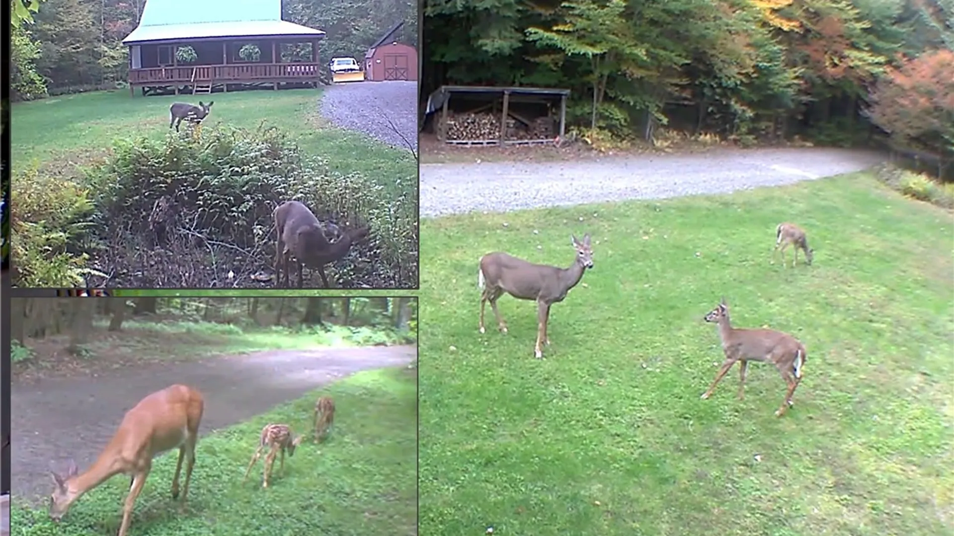 Property at 149 Hemlock Lane, German, NY 13040 49