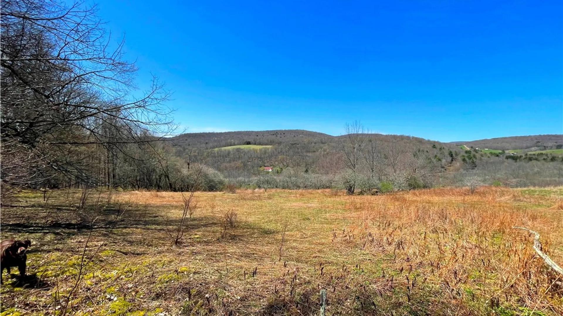 Property at Lot #12.12 Kiff Brook Road, Kortright, NY 13739 10