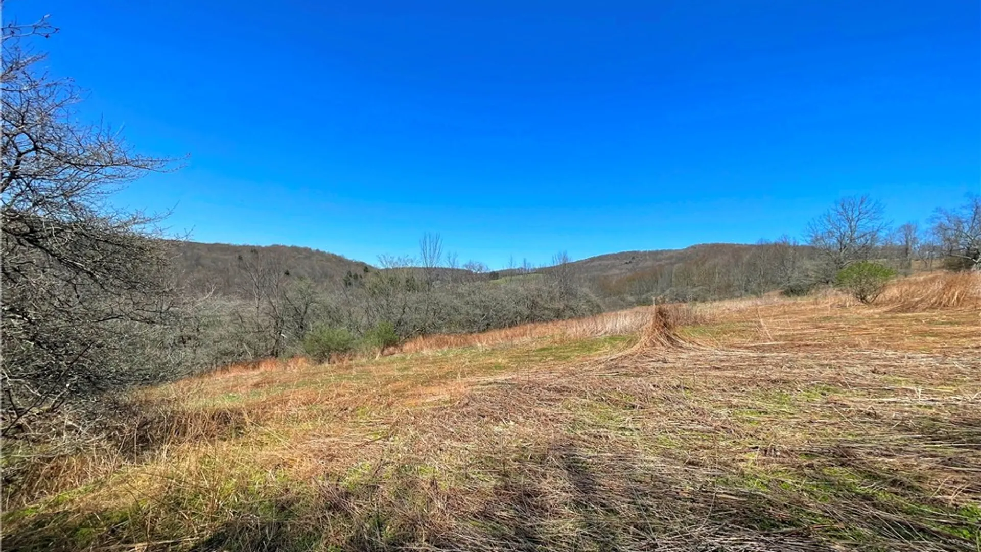 Property at Lot #12.12 Kiff Brook Road, Kortright, NY 13739 11