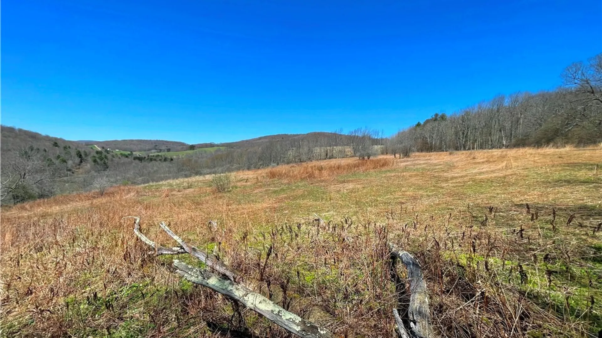 Property at Lot #12.12 Kiff Brook Road, Kortright, NY 13739 12