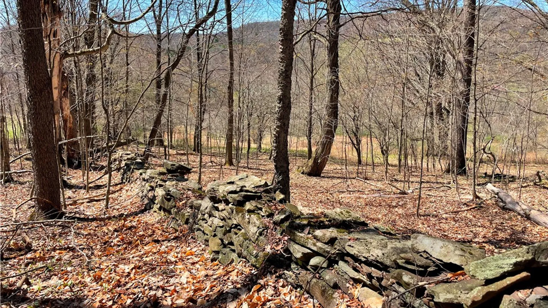 Property at Lot #12.12 Kiff Brook Road, Kortright, NY 13739 13