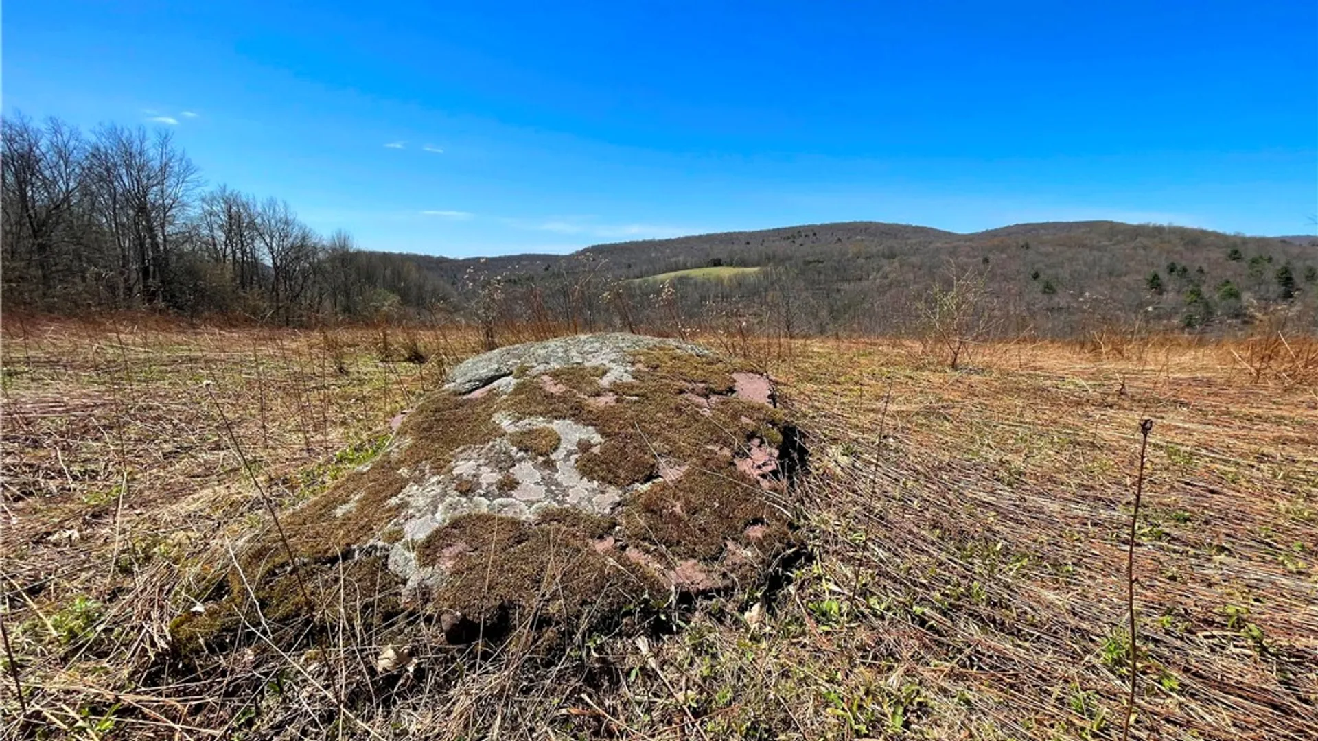 Property at Lot #12.12 Kiff Brook Road, Kortright, NY 13739 14