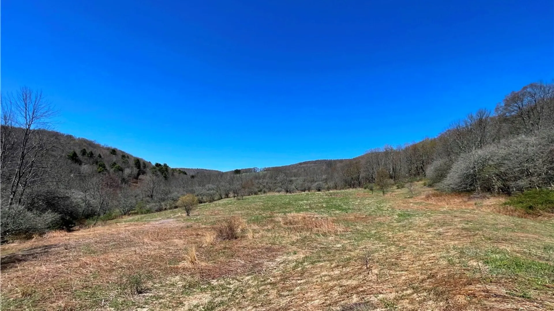 Property at Lot #12.12 Kiff Brook Road, Kortright, NY 13739 15