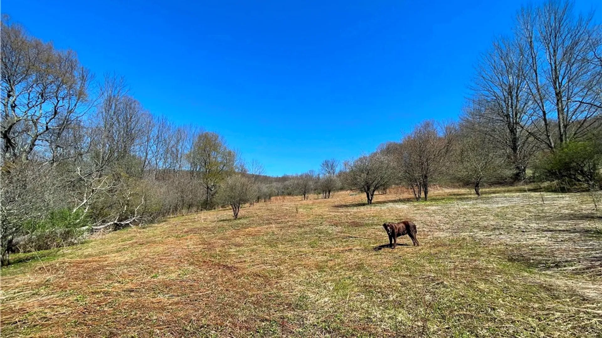 Property at Lot #12.12 Kiff Brook Road, Kortright, NY 13739 18